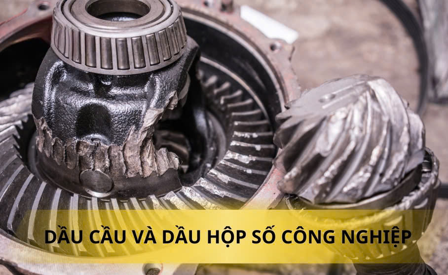 Dầu Cầu và Dầu Hộp Số